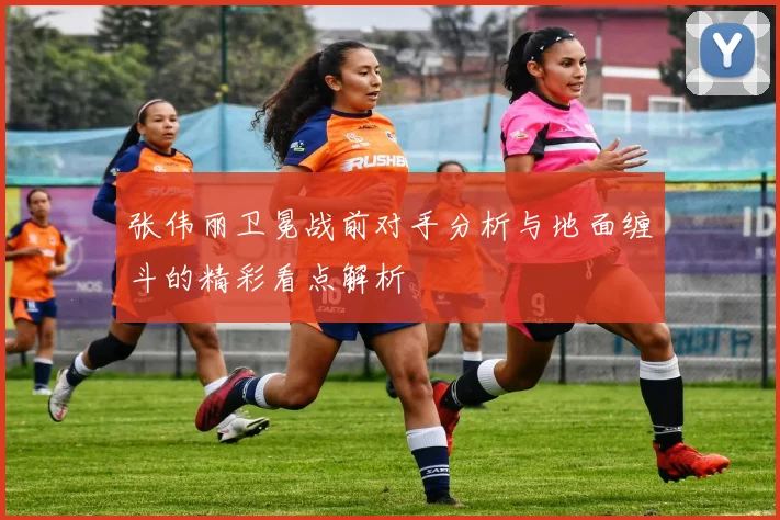 张伟丽卫冕战前对手分析与地面缠斗的精彩看点解析
