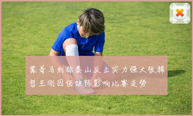 蒙哥马利称泰山反击实力强大张稀哲王刚因伤缺阵影响比赛走势