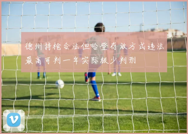 德州持枪合法但哈登存放方式违法最高可判一年实际极少判刑